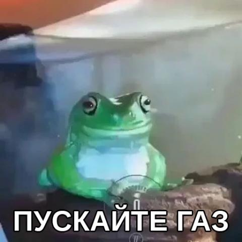 Gas the frogs