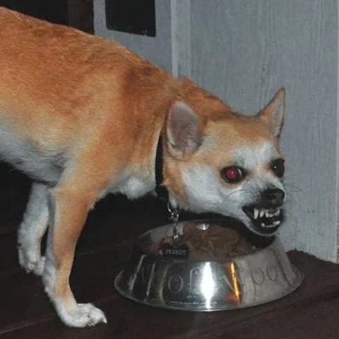 Don't review my code