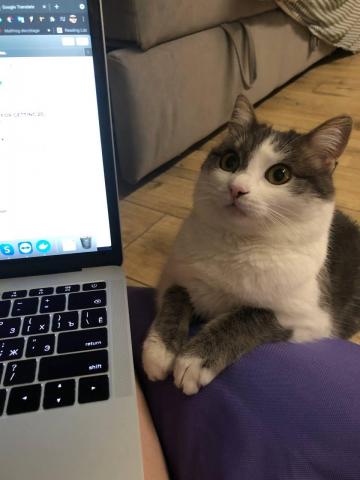 Let me develop some app